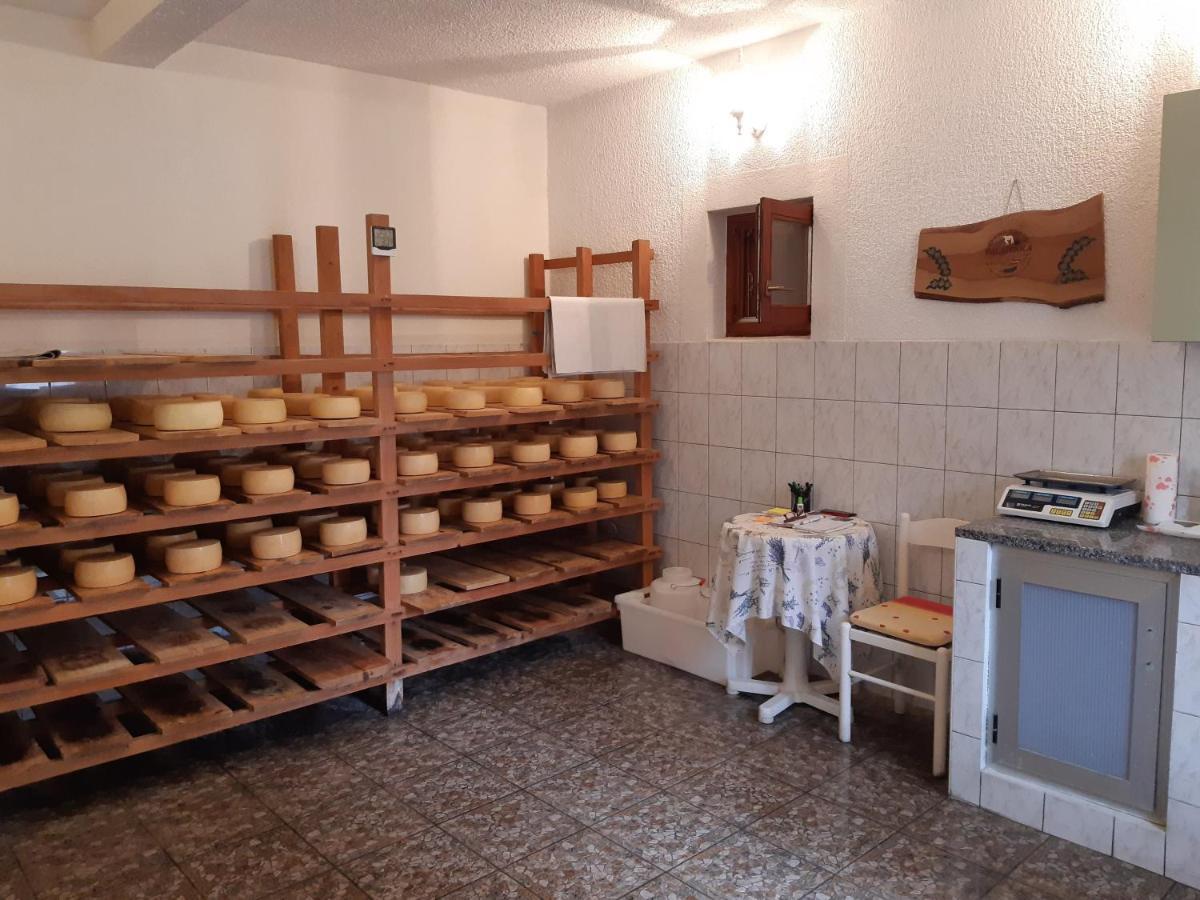 Apartments By The Sea Pag - 16100 Pag Town Εξωτερικό φωτογραφία